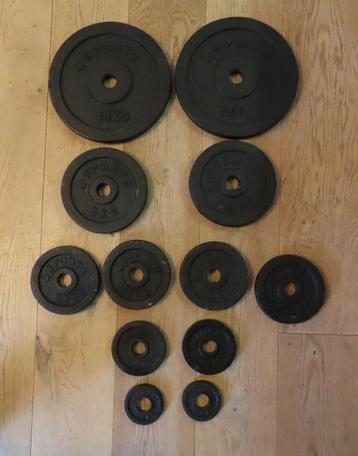 RS Sports 12 Halterschijven / gietijzer / Ø 30 mm /43.05 kg beschikbaar voor biedingen