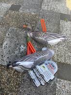 Lokkers vd  jacht kraaienlokkers duivenlokkers ganzenlokkers, Dieren en Toebehoren, Meerdere dieren, Overige soorten
