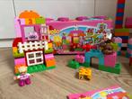 LEGO DUPLO Alles-in-één Roze Doos- 10571 -veel extra blokken, Kinderen en Baby's, Speelgoed | Duplo en Lego, Duplo, Gebruikt, Ophalen of Verzenden