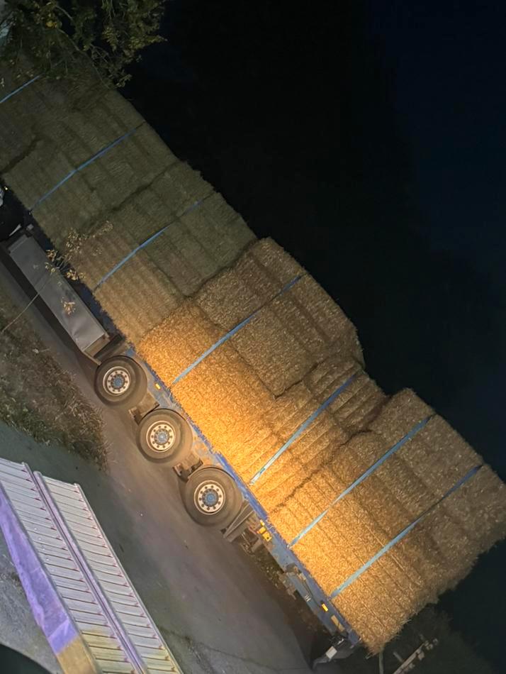 Tarwestro stro strooisel voordroog weidehooi kuilgras paard, Dieren en Toebehoren, Dierenvoeding, Vee, Ophalen of Verzenden