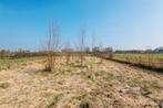 Weide met stal aangeboden, Dieren en Toebehoren, Stalling en Weidegang