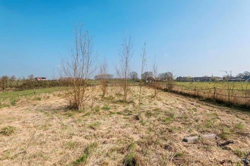 Weide met stal aangeboden, Dieren en Toebehoren, Stalling en Weidegang
