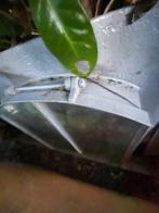 Dakraam, Gebruikt, Minder dan 80 cm, Minder dan 80 cm, Ophalen of Verzenden