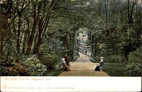 Woestduin Opgaande laan Dr. Trenkler 1903, Verzamelen, Ansichtkaarten | Nederland, Ongelopen, Noord-Holland, Voor 1920, Ophalen of Verzenden