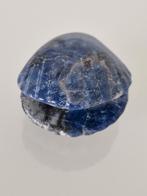 Sodaliet schelp, Ophalen of Verzenden, Schelp(en)