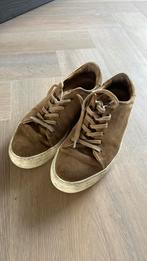 Suede schoenen daniel kenneth maat 42, Ophalen of Verzenden, Zo goed als nieuw