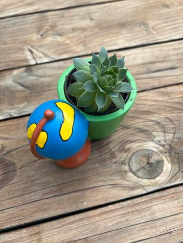 Gratis of ruilen vetplant / succulent met potje en globe beschikbaar voor biedingen