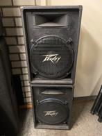 Peavey speakers met geupgrade componenten 15 inch, Overige merken, Ophalen of Verzenden, Zo goed als nieuw, 120 watt of meer