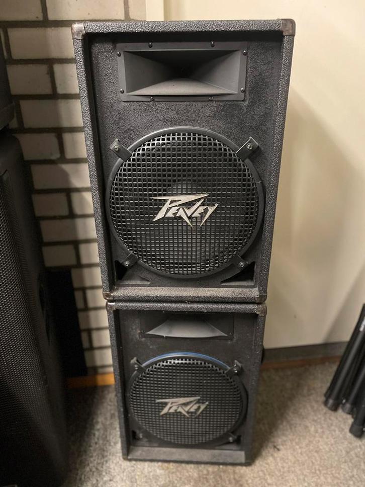 Peavey speakers met geupgrade componenten 15 inch, Audio, Tv en Foto, Luidsprekers, Zo goed als nieuw, Front, Rear of Stereo speakers