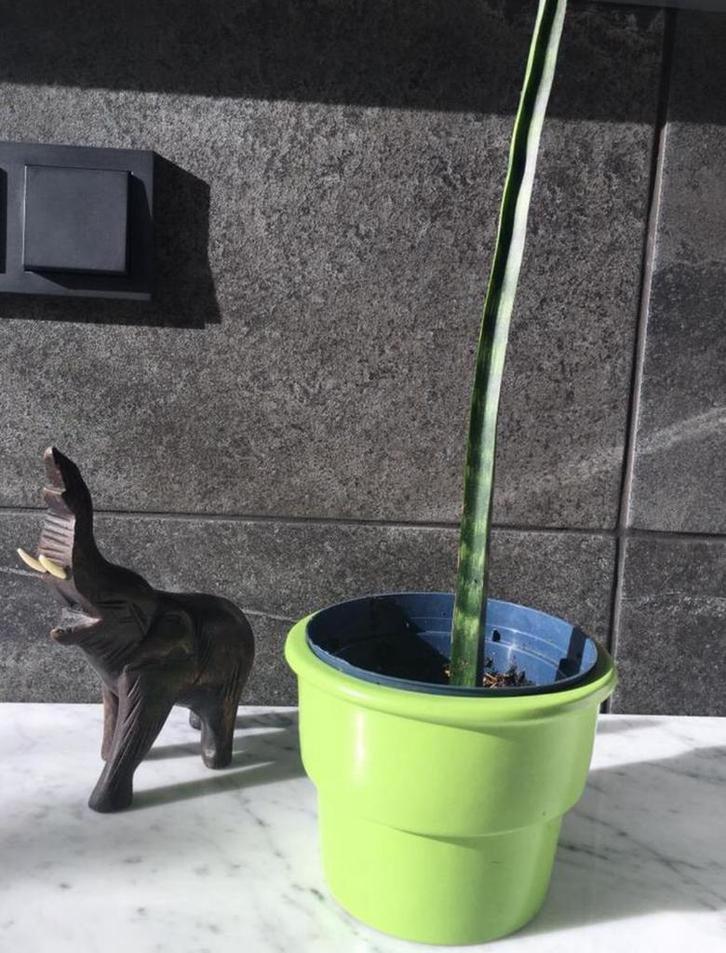 Vintage groene gele blauwe keramische bloempotten uniek, Tuin en Terras, Bloempotten, Zo goed als nieuw, Terracotta, Binnen, Minder dan 40 cm