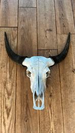 Schedel Buffel, Ophalen
