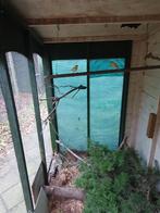 Koppel waterslagers uit de buitenvolière 20 euro, Dieren en Toebehoren, Meerdere dieren, Zangkanarie