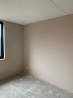 Renovlies, Behanger, Schilder, behangen, renovlies behang, Kleuradvies, Behangen