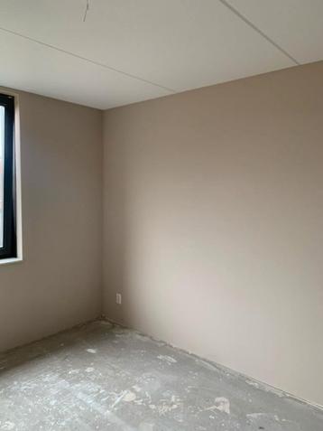 Renovlies, Behanger, Schilder, behangen, renovlies behang beschikbaar voor biedingen