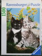 Puzzel 1500 stukjes: Twee Katjes, Ophalen of Verzenden, 500 t/m 1500 stukjes, Gebruikt, Legpuzzel