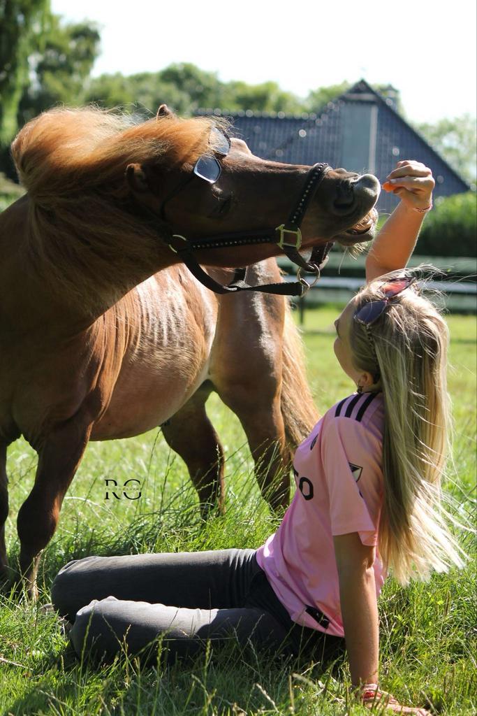Bijrijder aangeboden/ verzorg paard of pony gezocht, Dieren en Toebehoren, Paarden en Pony's | Verzorgingsproducten, Ophalen