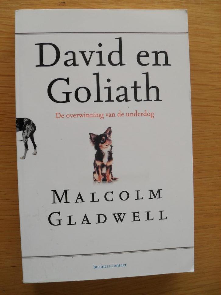 David en Goliath van Malcolm Gladwell, Boeken, Overige Boeken, Gelezen, Ophalen of Verzenden