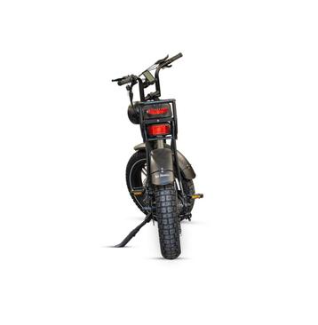 Fatbike Ape Ryder A10 Grey beschikbaar voor biedingen