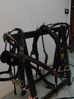 Showtuig welsh hackney pony, Ophalen of Verzenden