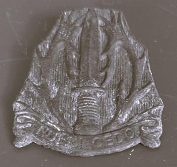 Oud embleem Stoottroepen - Adv 27 beschikbaar voor biedingen