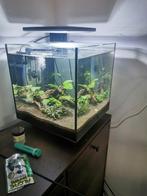 SuperFish aquarium QubiQ 40 Pro zwart 40 L, Dieren en Toebehoren, Vissen | Aquaria en Toebehoren, Ophalen, Zo goed als nieuw, Gevuld zoetwateraquarium