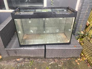 Groot aquarium beschikbaar voor biedingen
