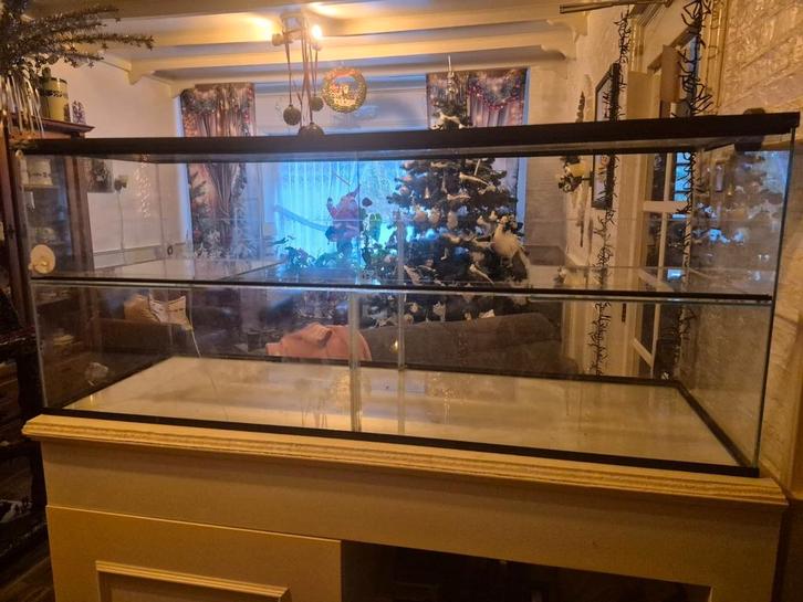 Terrarium, Dieren en Toebehoren, Reptielen en Amfibieën | Toebehoren, Zo goed als nieuw, Ophalen