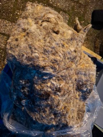 Schapenwol voor isolatie - ongewassen beschikbaar voor biedingen