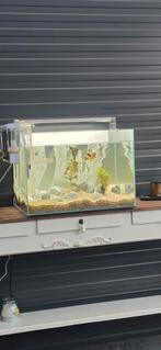 Aquarium, Dieren en Toebehoren, Vissen | Aquaria en Toebehoren, Ophalen, Verlichting of Verwarming