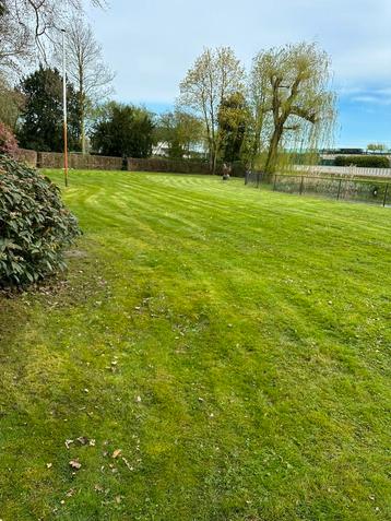 Hovenier .voor al uw tuinonderhoud .  beschikbaar voor biedingen