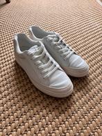 Ralph Lauren Hailey sneaker, Kleding | Dames, Verzenden, Wit, Ralph Lauren, Sneakers of Gympen
