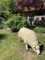 (Tuin)Beeld texel schaap, eye catcher tuin, boerderij, 75 cm, Tuin en Terras, Ophalen, Nieuw, Kunststof, Dierenbeeld