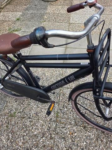 Cortina u4 24 inch  beschikbaar voor biedingen
