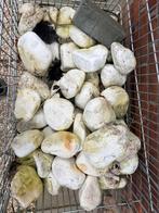 Witte Keien - Tuin Decoratie, Ophalen, Overige materialen, Gebruikt, Wit