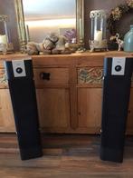 2x Dali Lektor 6 speakers, Audio, Tv en Foto, Luidsprekers, Overige merken, Front, Rear of Stereo speakers, Zo goed als nieuw