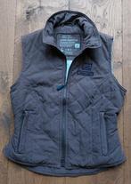 Euro-Star bodywarmer voor paardrijden, mt. S, Gebruikt, Ophalen of Verzenden, Dames, Recreatie