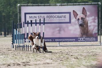 Groit sterk Frame voor reclame, banner, poster. 4 x 2 meter beschikbaar voor biedingen