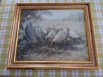 Schilderij herderinnetje met schapen shepherd’s daughter, Antiek en Kunst, Ophalen