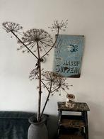 Gedroogde Berenklauw, Ophalen, Gebruikt