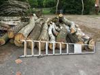 haardhout, Tuin en Terras, Haardhout, Minder dan 3 m³, Ophalen, Berkenhout, Stammen