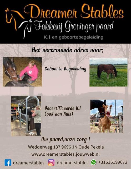 Inseminatie aan huis, Dieren en Toebehoren, Paarden en Pony's | Overige Paardenspullen, Nieuw, Overige soorten, Ophalen