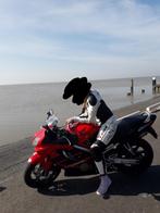 Motorpak Dainese, Ophalen of Verzenden, Tweedehands, Dames, Overall
