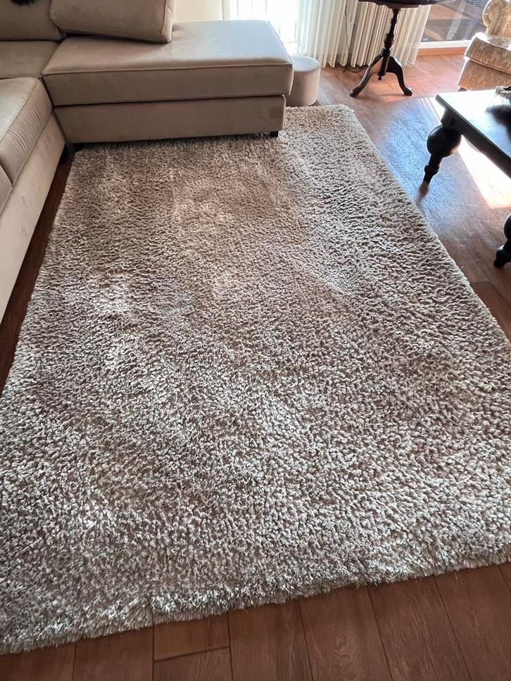 Groot Vloerkleed 200x300, Huis en Inrichting, Stoffering | Tapijten en Kleden, Gebruikt, 200 cm of meer, Rechthoekig, Beige, Ophalen