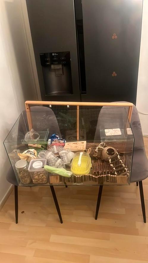 Hamster terrarium/kooi, Dieren en Toebehoren, Knaagdieren en Konijnen | Hokken en Kooien, Gebruikt, Kooi, Minder dan 60 cm, 75 tot 110 cm