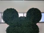 Mickey Mouse greenwall safari, Tuin en Terras, Ophalen, Zo goed als nieuw, Kunststof, Overige typen