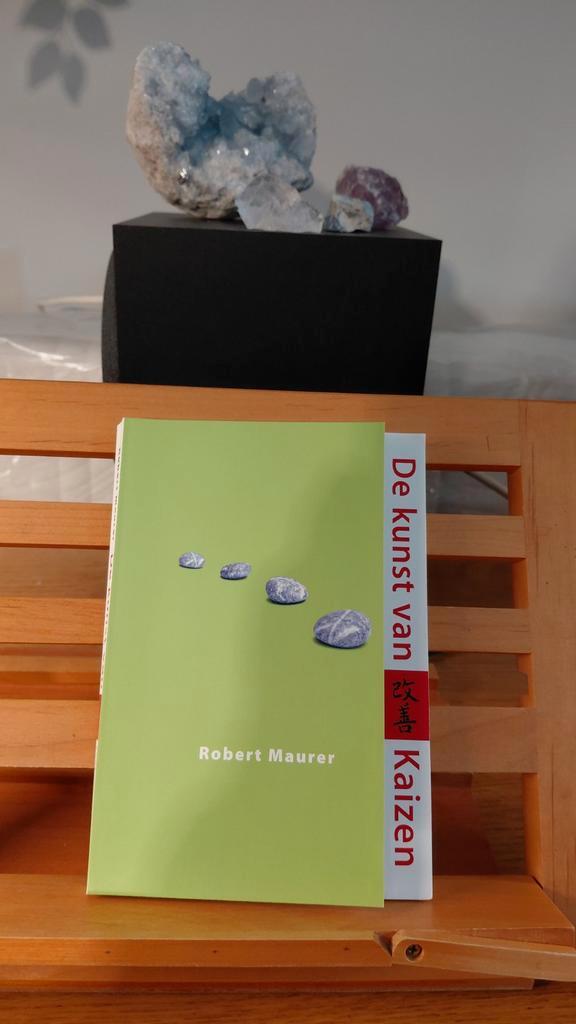 De Kunst van Kaizen - Robert Maurer, Boeken, Studieboeken en Cursussen, Zo goed als nieuw, Niet van toepassing, Ophalen of Verzenden