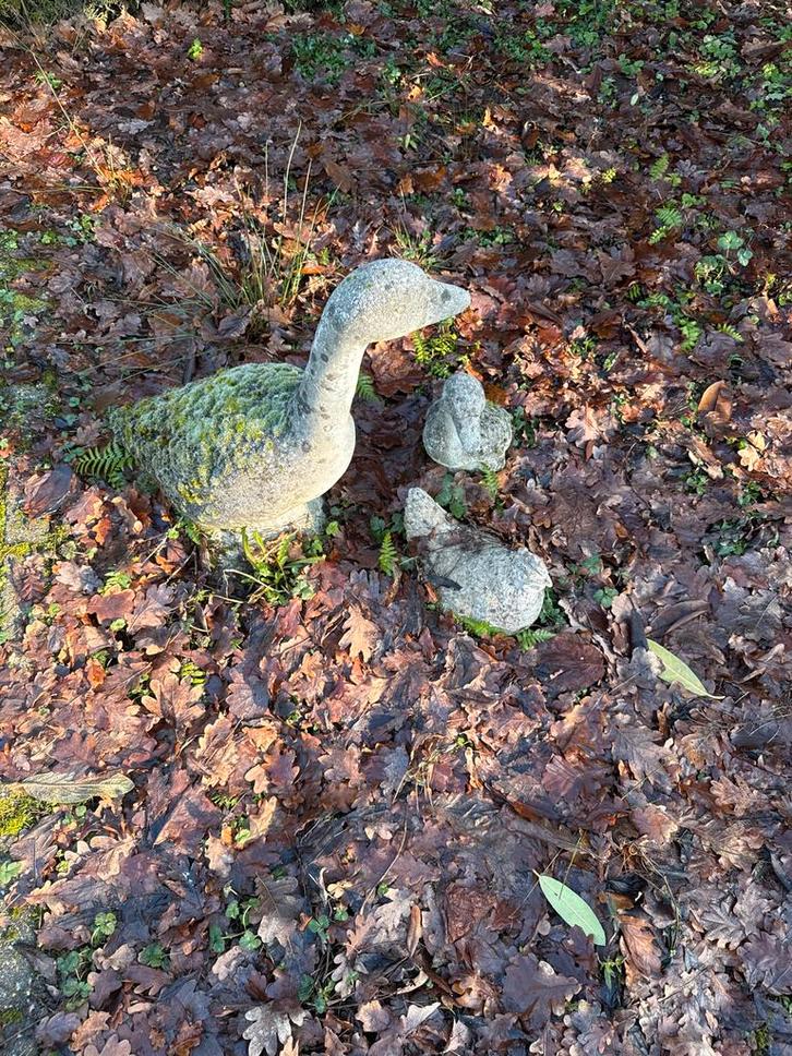 Tuinbeeld Ganzen Familie - Beton, Tuin en Terras, Tuinbeelden, Gebruikt, Dierenbeeld, Beton, Ophalen of Verzenden