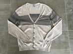 Heren vest, maat L, Maat 52/54 (L), Verzenden, Gedragen, Grijs