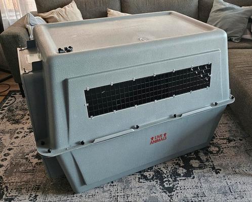 Sky kennel honden transportbox XXL 90-125 lbs / 41-57 kg, Dieren en Toebehoren, Transportboxen, Zo goed als nieuw, Ophalen