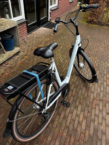 Brinckers Bologna F7 beschikbaar voor biedingen